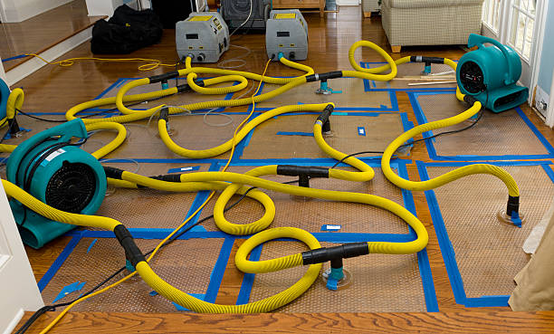 Professional Storm Water Damage Restoration technician working in Fremont, OH